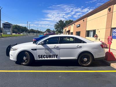 Vehicle Graphics Photo